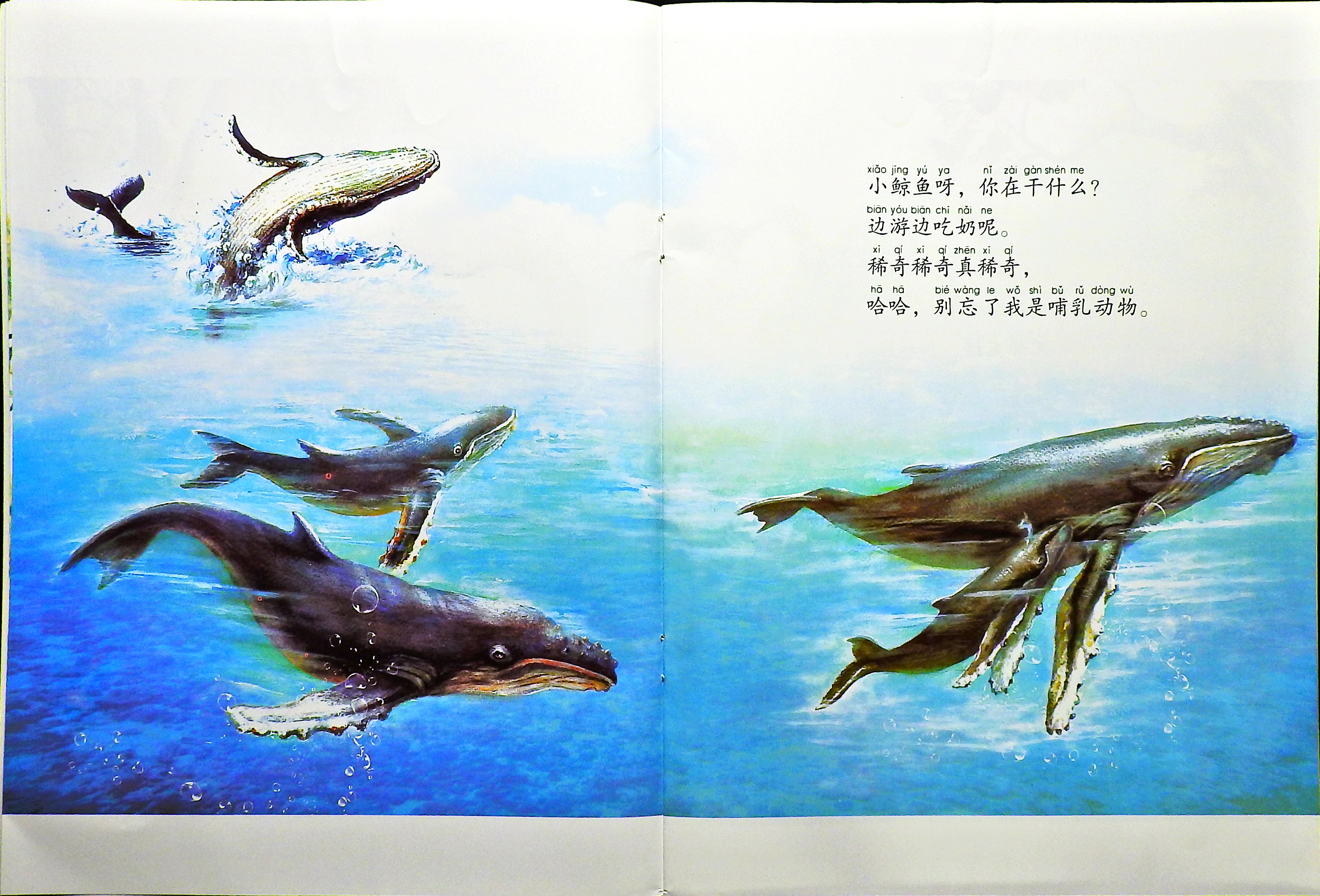 它们在干什么？ (05),绘本,绘本故事,绘本阅读,故事书,童书,图画书,课外阅读
